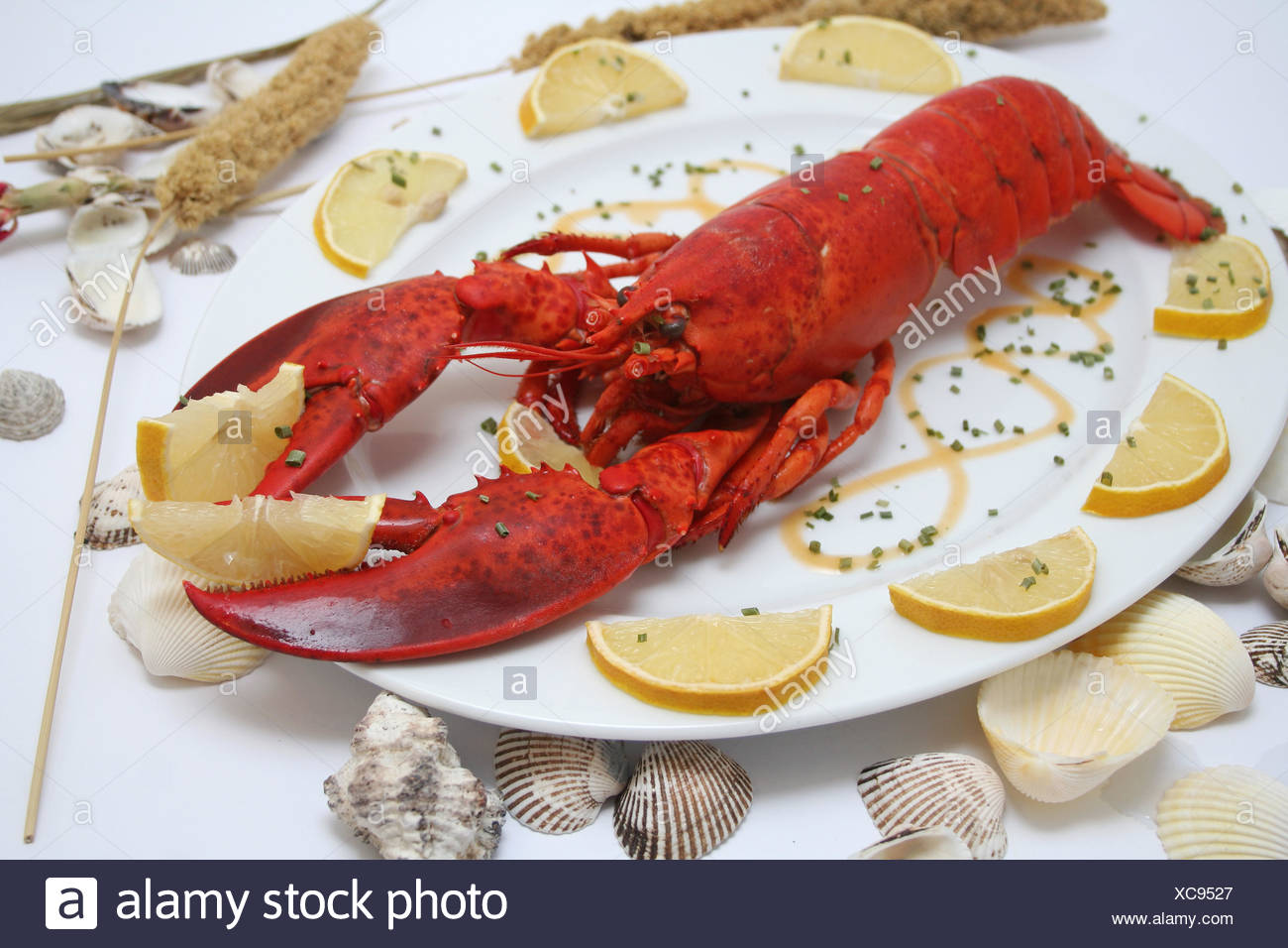 Das Essen Im Restaurant Aliment Hummer Muscheln Meeresfruchte Essen Nahrungsmittel Optional Tier Stockfotografie Alamy
