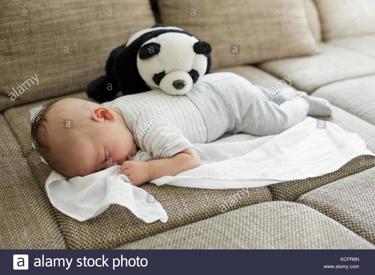 Pluschtier Panda Stockfotos Und Bilder Kaufen Alamy