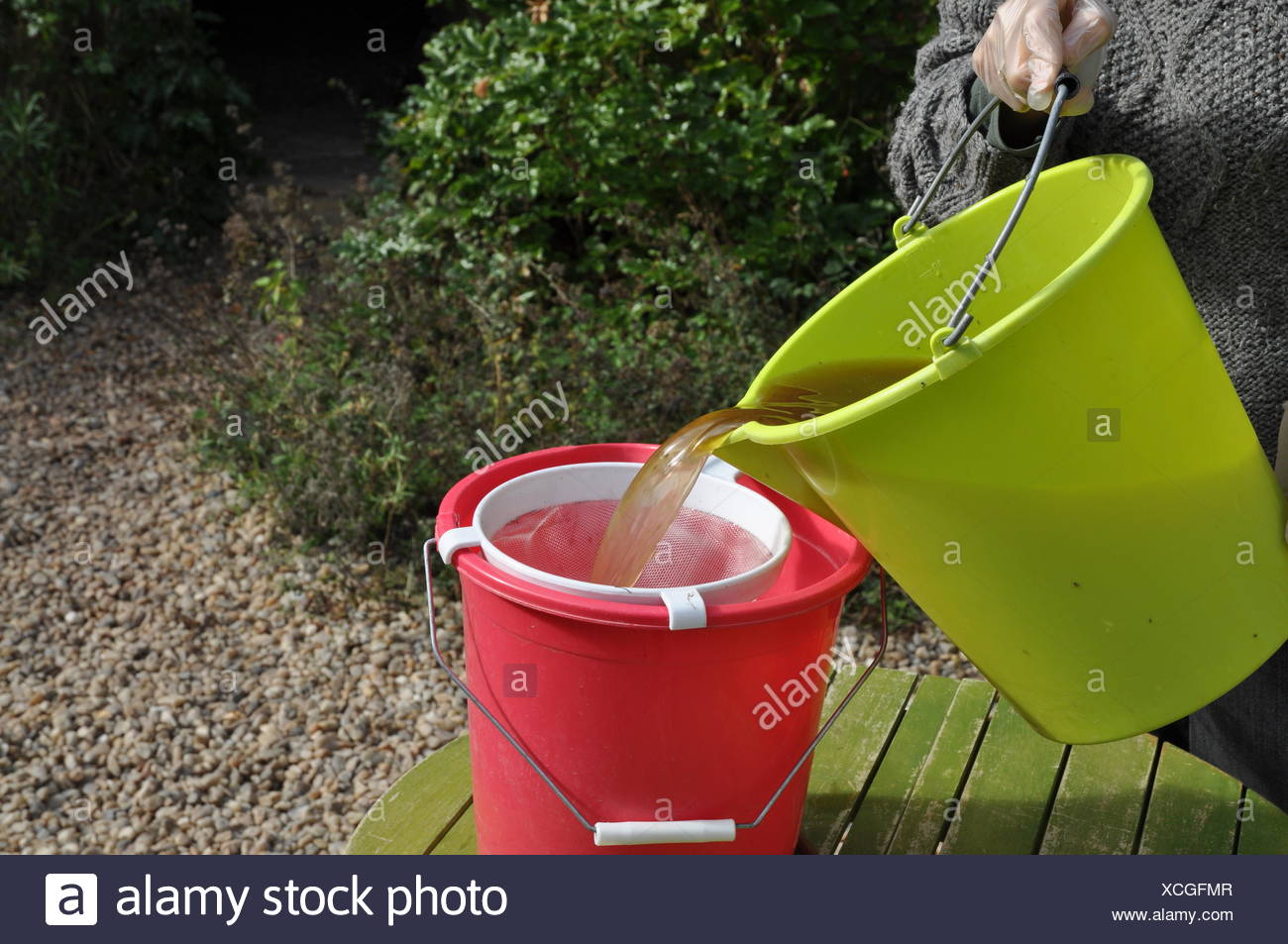 Mischen Von Einer Kuh Kot Basis Dunger Im Garten Stockfoto Bild