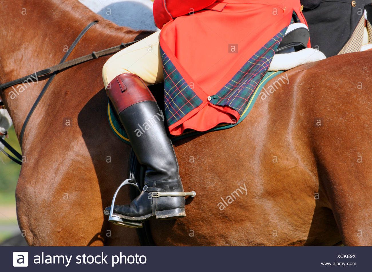 Reiter Reiten Stiefel Sporen Steigbugel Stockfotografie Alamy