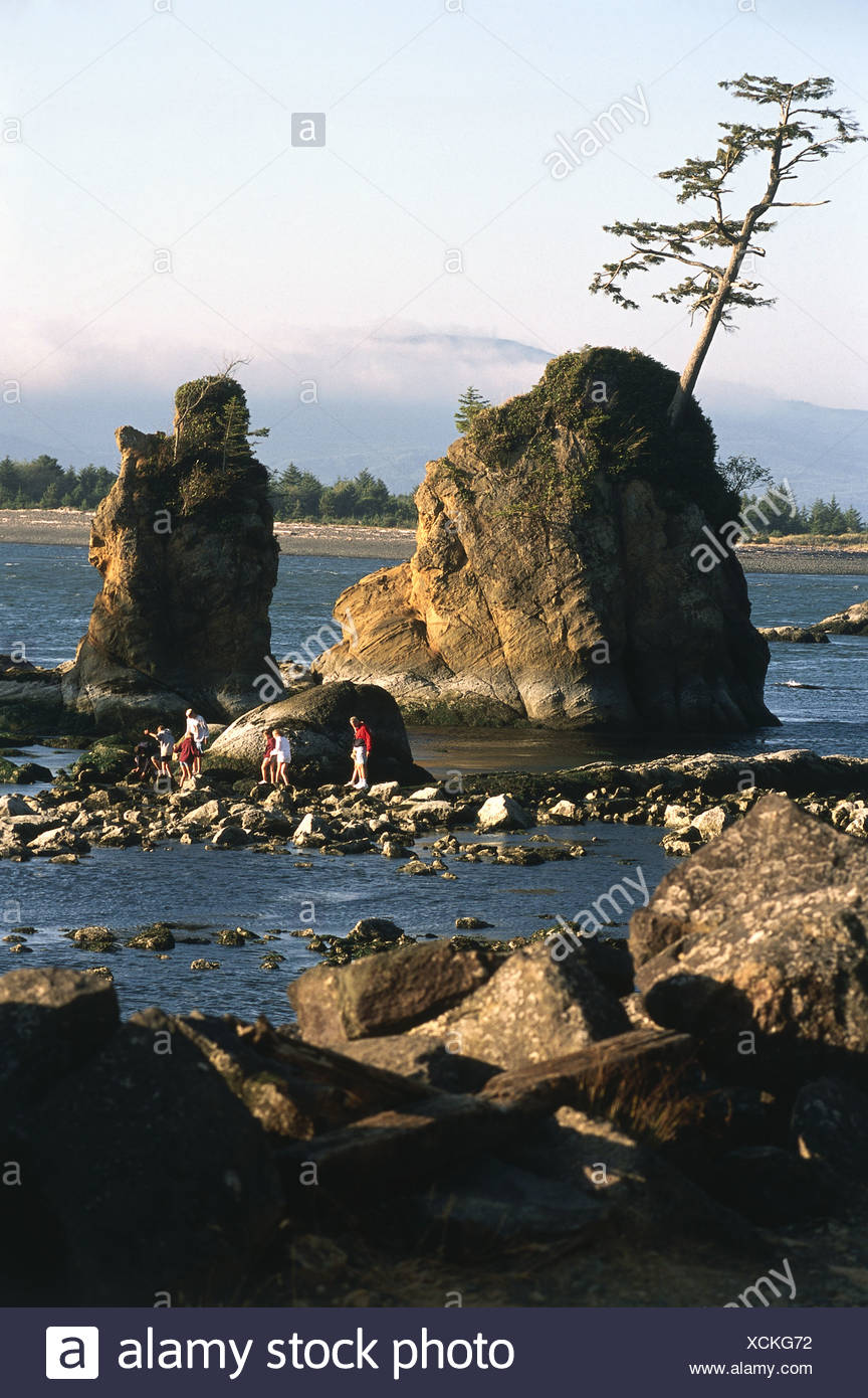 Usa Pacific Northwest Oregon Tillamook Besucher Auf Basis Der