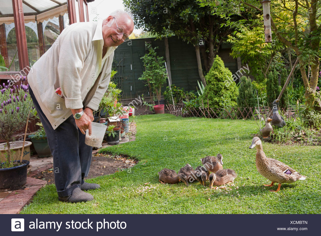 Senior Woman Futtern Enten Im Garten Stockfoto Bild 283190117