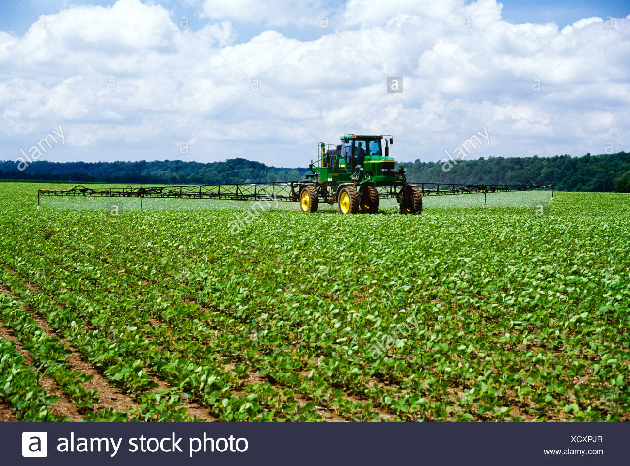 Tennessee Landwirtschaft Stockfotos Und Bilder Kaufen Alamy