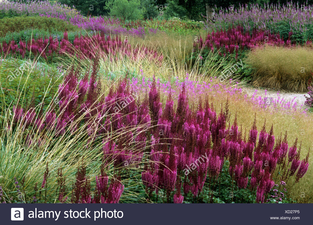 Designer Piet Oudolf Prairie Pflanzen Stockfotos und bilder Kaufen Alamy