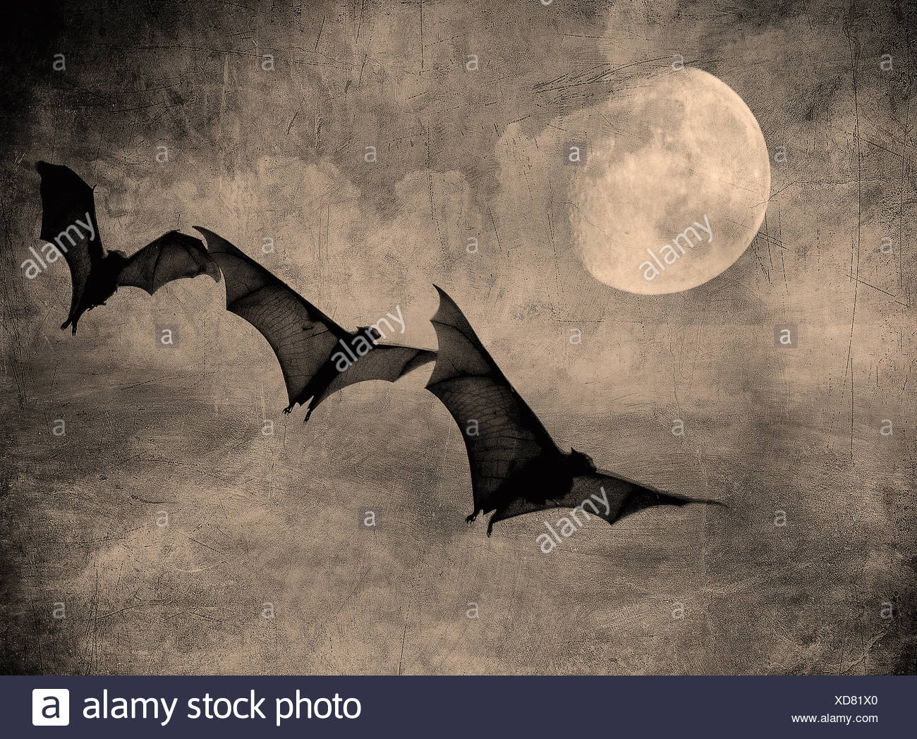 Fledermäuse in den dunklen bewölkten Himmel, perfekte Halloween-Hintergrund Stockfoto