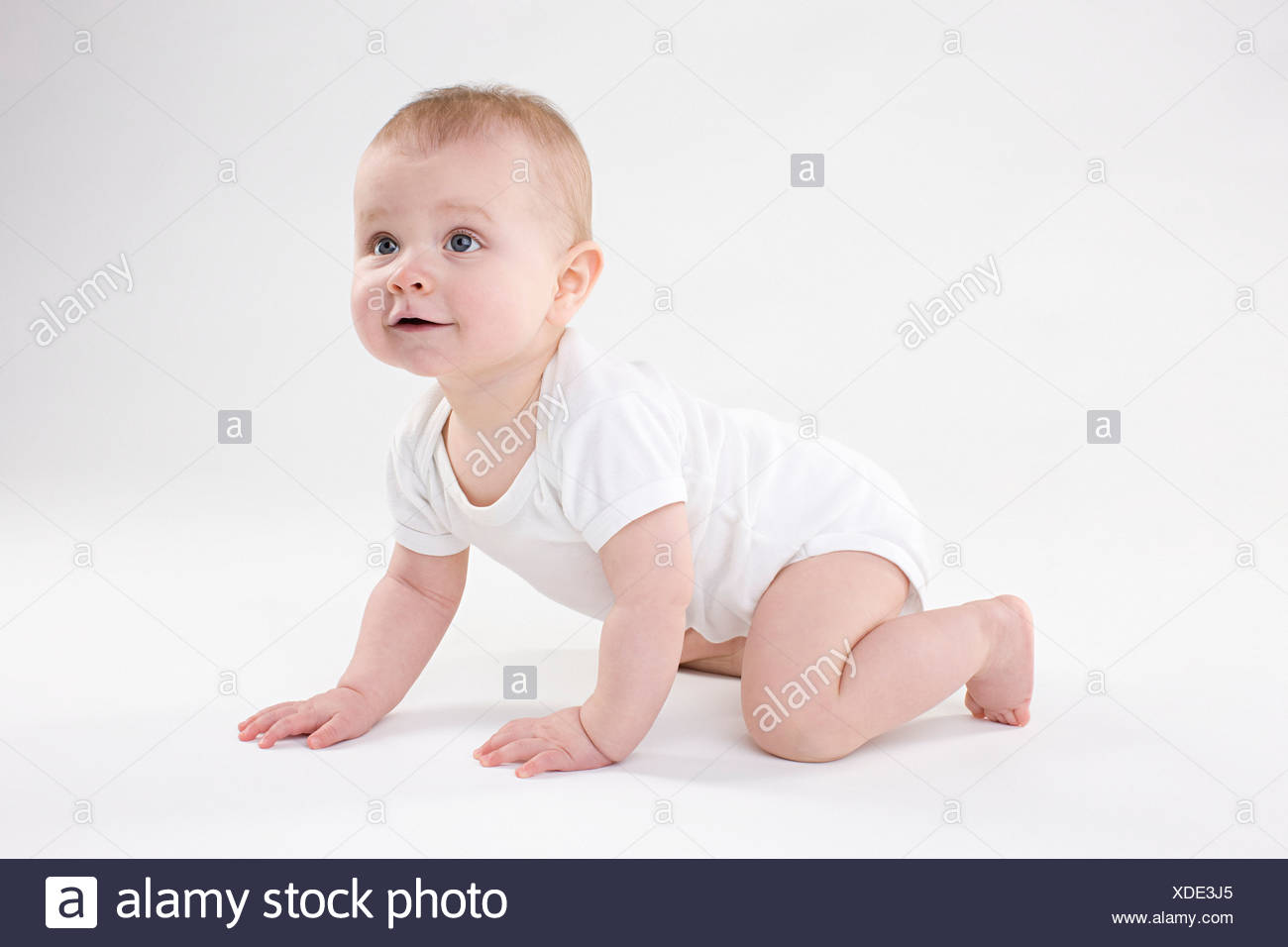 Baby Krabbeln Stockfoto Bild 283666605 Alamy
