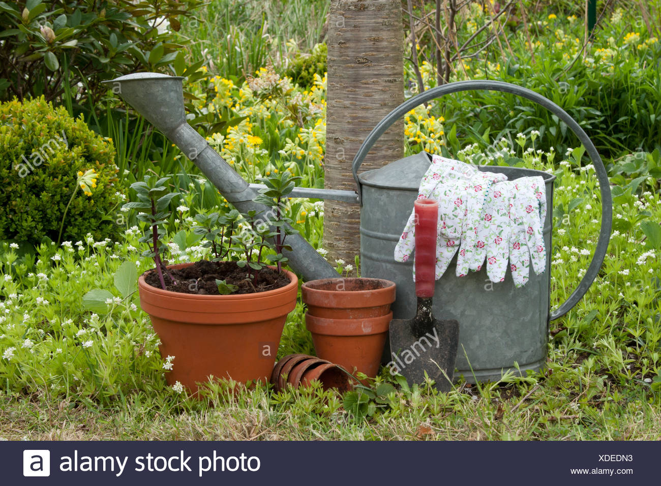 Fruhling Gartenarbeit Topfe Giesskanne Krauter Pflanzen