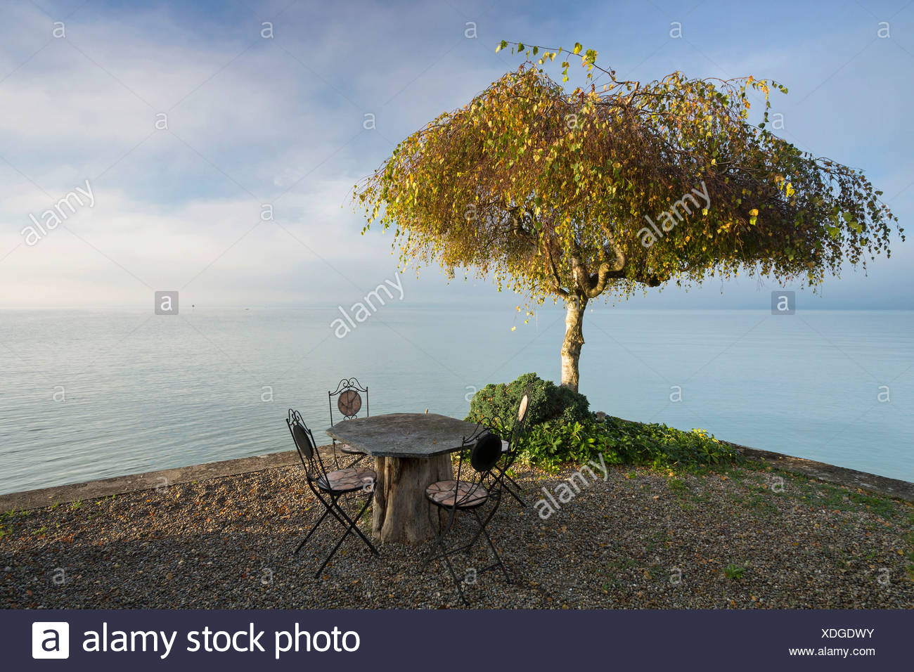 Gartenmobel Und Ein Baum Am Fruhen Morgen Stimmung Am Bodensee In