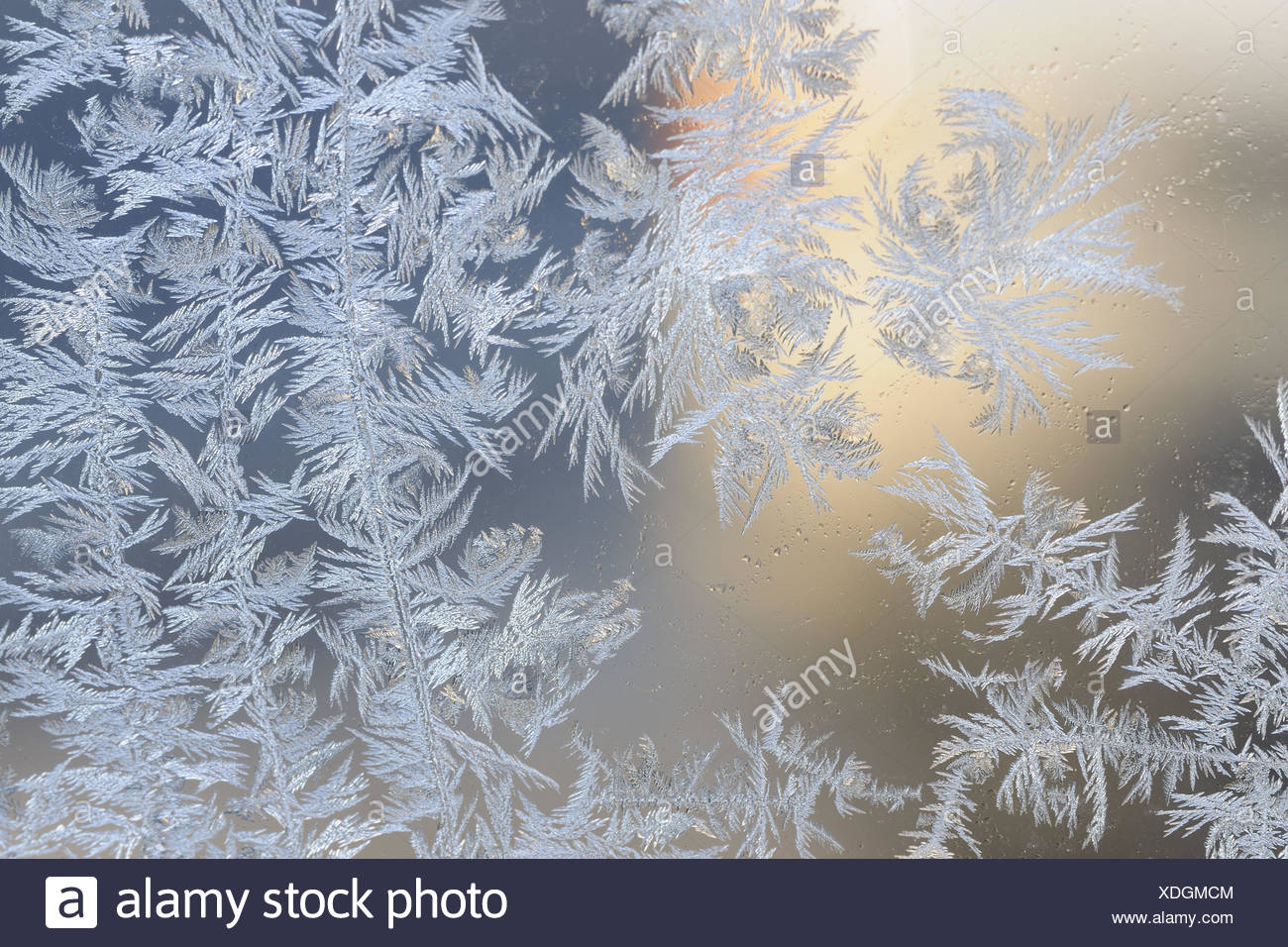 Fenster, Eisblumen Stockfotografie Alamy