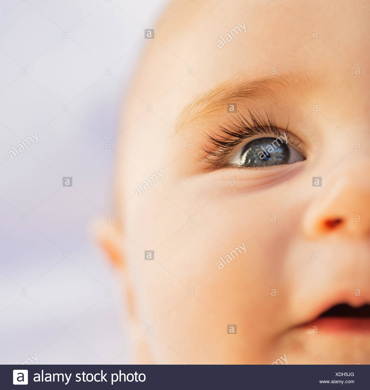Menschliches Auge Stockfotos und -bilder Kaufen - Alamy