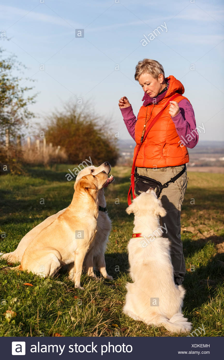 Single frauen und hunde