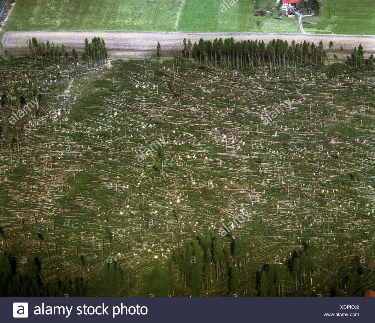 Schaden Des Waldes Nach Hurrikan Deutschland Bayern Sauerlach Stockfotografie Alamy