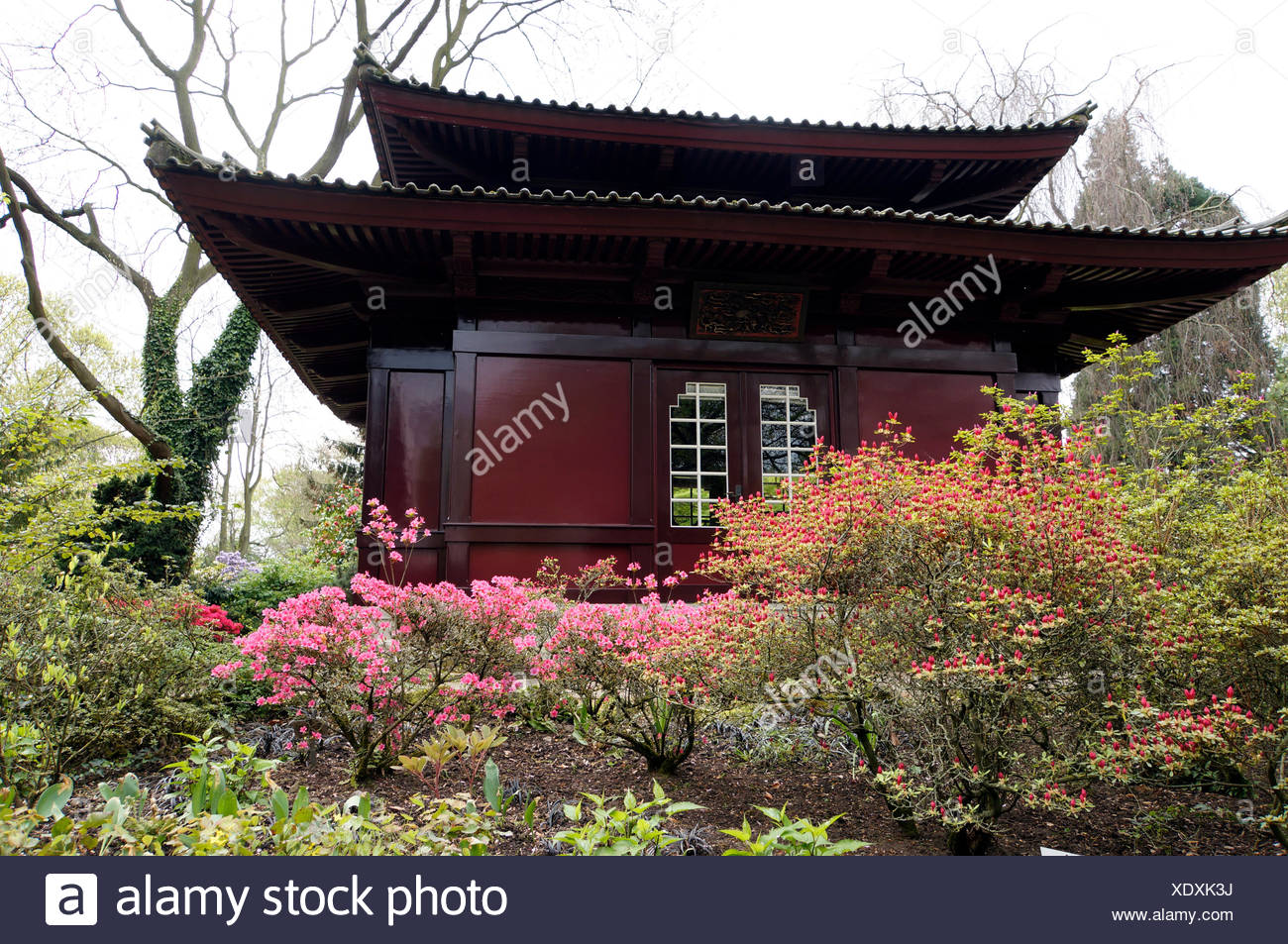Teehaus Japanischer Garten Leverkusen Stockfoto Bild 283942166