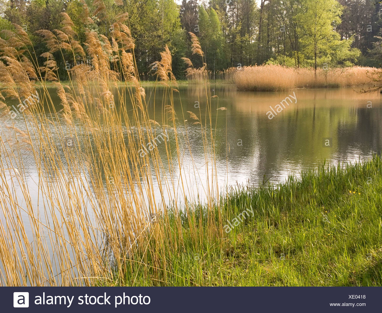 Kusnacht Switzerland Stockfotos und bilder Kaufen Alamy