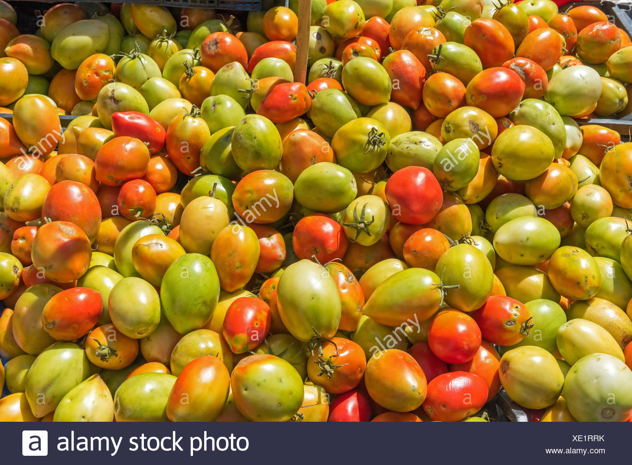 Rot Und Grun Plum Tomaten Auf Einem Markt In Palermo Sizilien