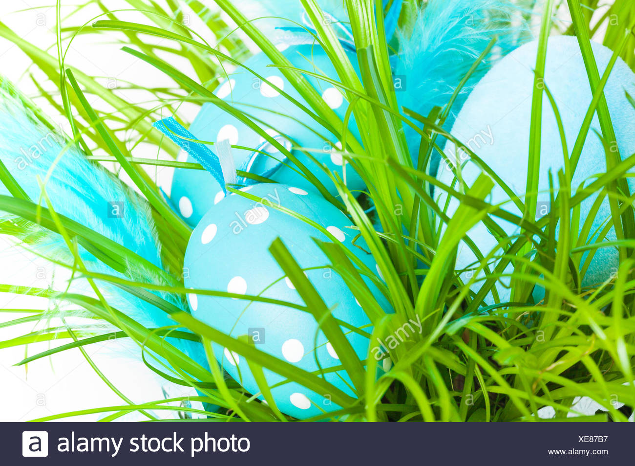 Ostereier Versteckt In Der Wiese Stockfoto Bild 284152491 Alamy