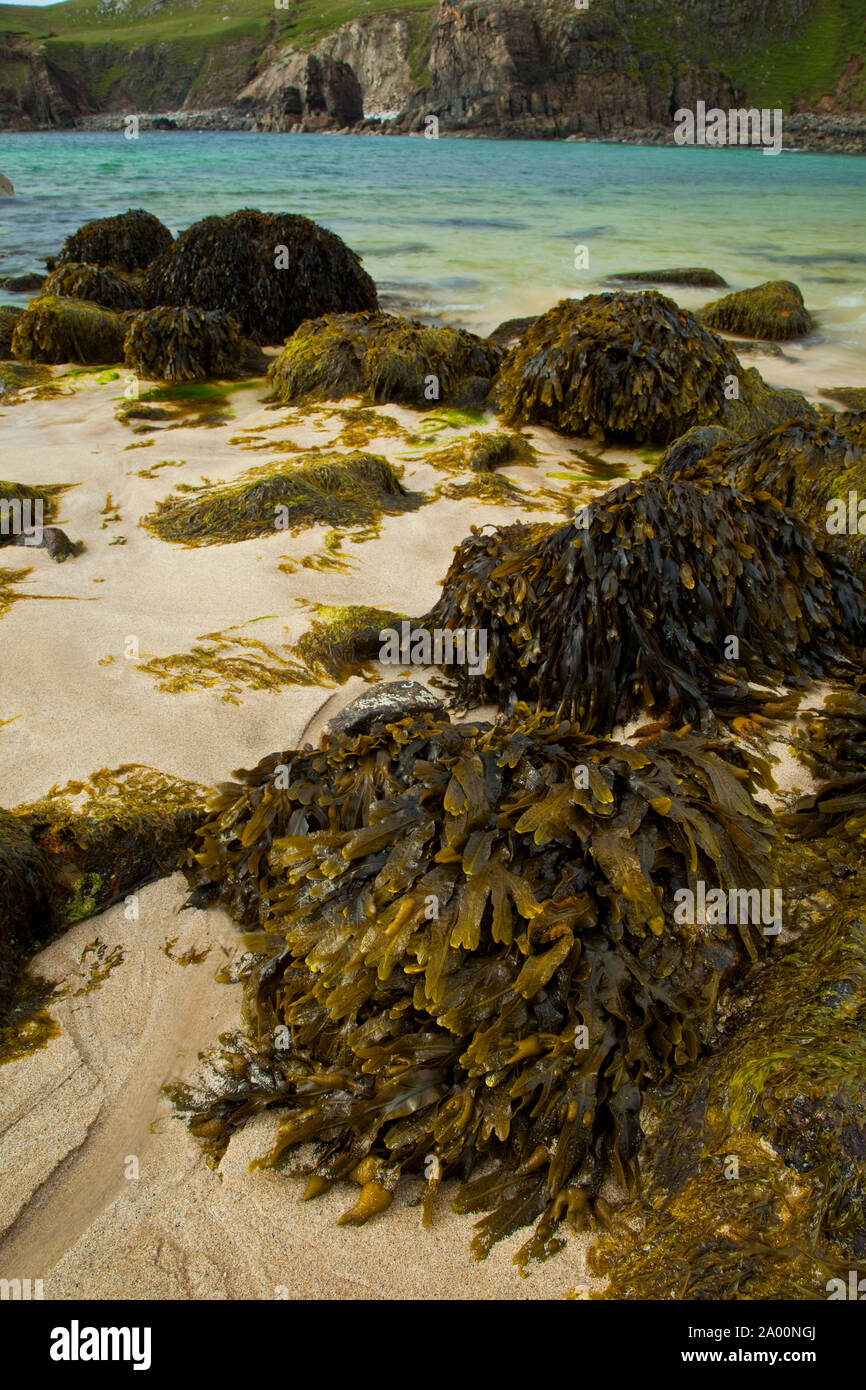 Zona intermareal (área de mareas). Playa Dail Beag Playa. La Isla de Lewis. Outer Hebrides. Escocia, Reino Unido Foto de stock