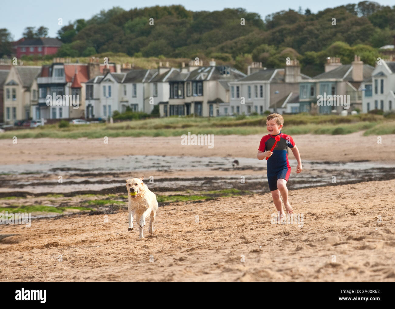Chico y perro jugando en la playa de North Berwick. East Lothian, Escocia Foto de stock