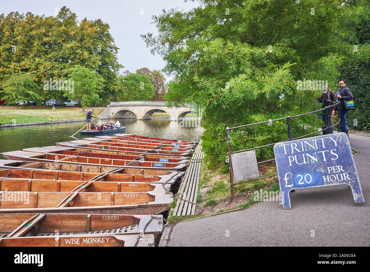 Punts amarrados en la orilla del río Cam en el Trinity College, Universidad de Cambridge, Inglaterra. Foto de stock