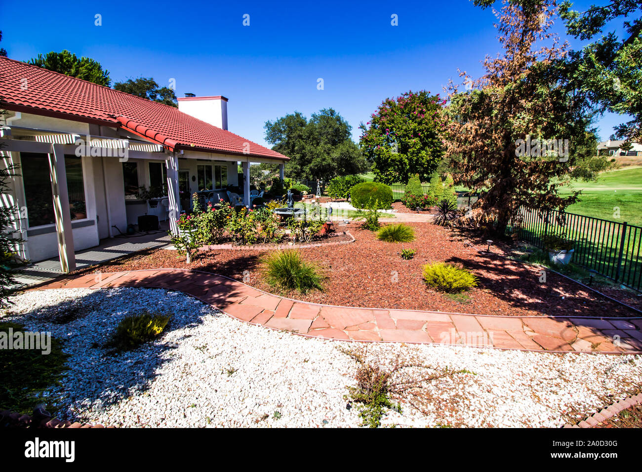 Árboles tolerantes a la sequía fotografías e imágenes de alta