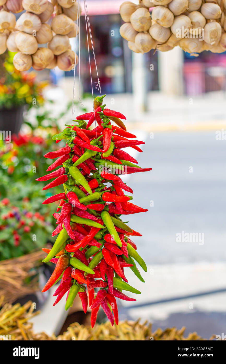 Un montón de pequeños pimientos rojos y verdes debajo de algunas cadenas cuelga de ajo en un mercado de agricultores. Foto de stock