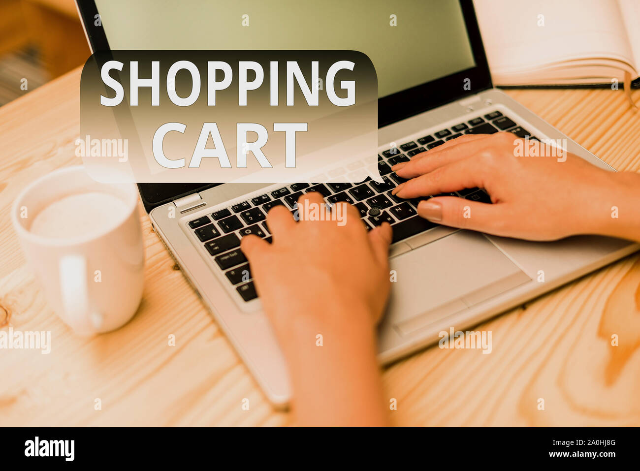 Signo de texto mostrando Compras. Exhibición fotográfica de negocios caso  Trolley llevar víveres y mercancía mujer ordenador portátil smartphone mug  office Fotografía de stock - Alamy