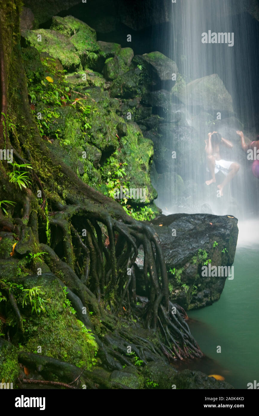 Gente nadando en la cascada de Emerald Pool, sitio UNESCO, Dominica, Indias Occidentales Francesas, el Caribe, América Central Foto de stock