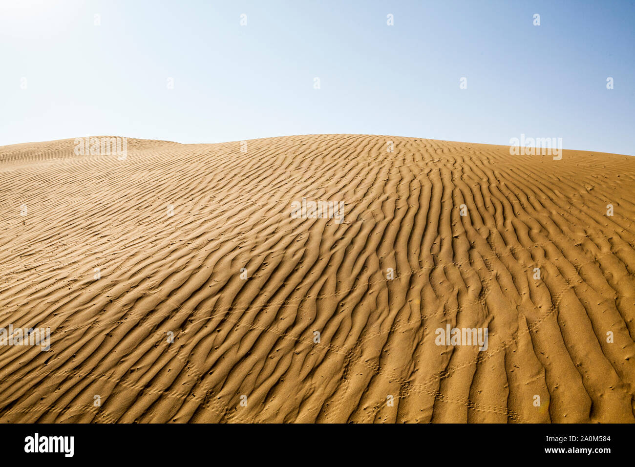 Dunas de arena en el desierto de Thar de Rajasthan, India Oriental. Foto de stock