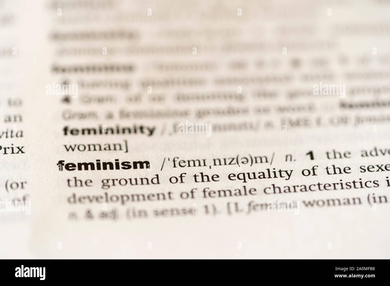 Un diccionario inglés página que muestra la palabra feminismo - Concepto de los derechos de la mujer y el movimiento "yo también" Foto de stock