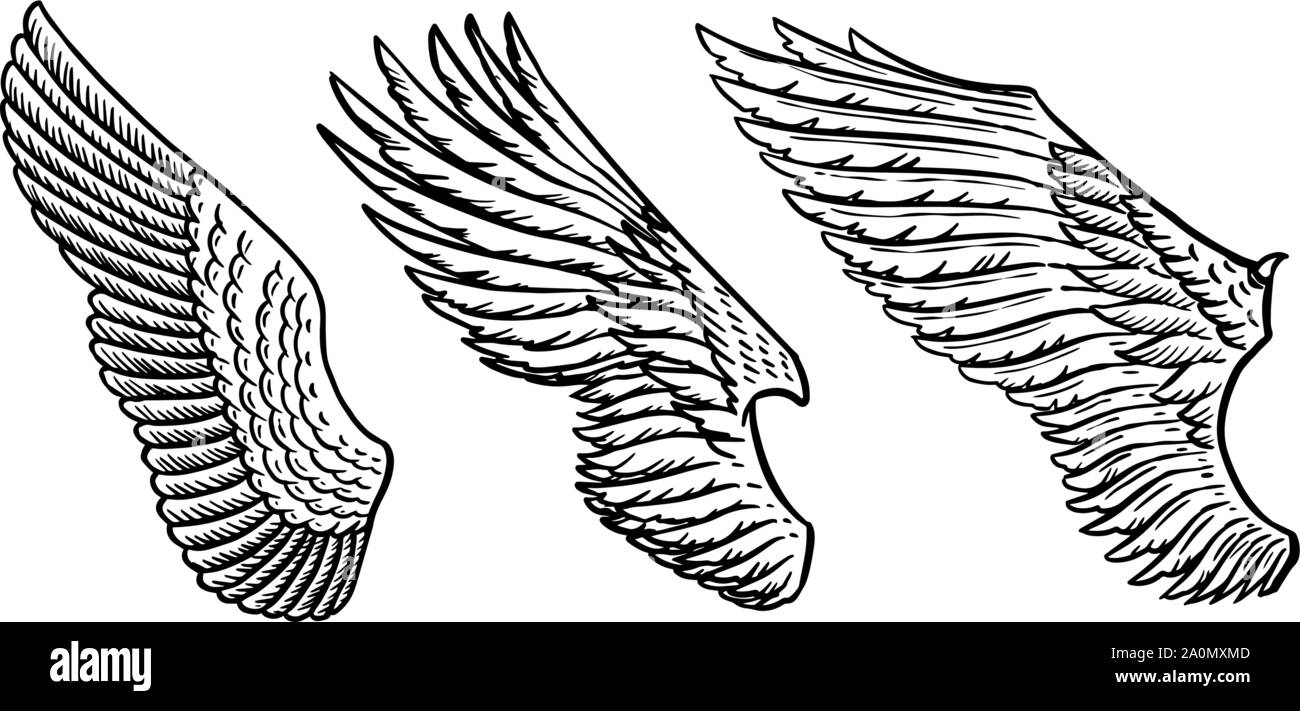 Conjunto de alas de ángel en el estilo de época. Plantilla para tatuaje y  emblemas, t-shirts y logotipo. Emblema para las pegatinas. Grabado de  boceto. Ilustración vectorial Imagen Vector de stock -
