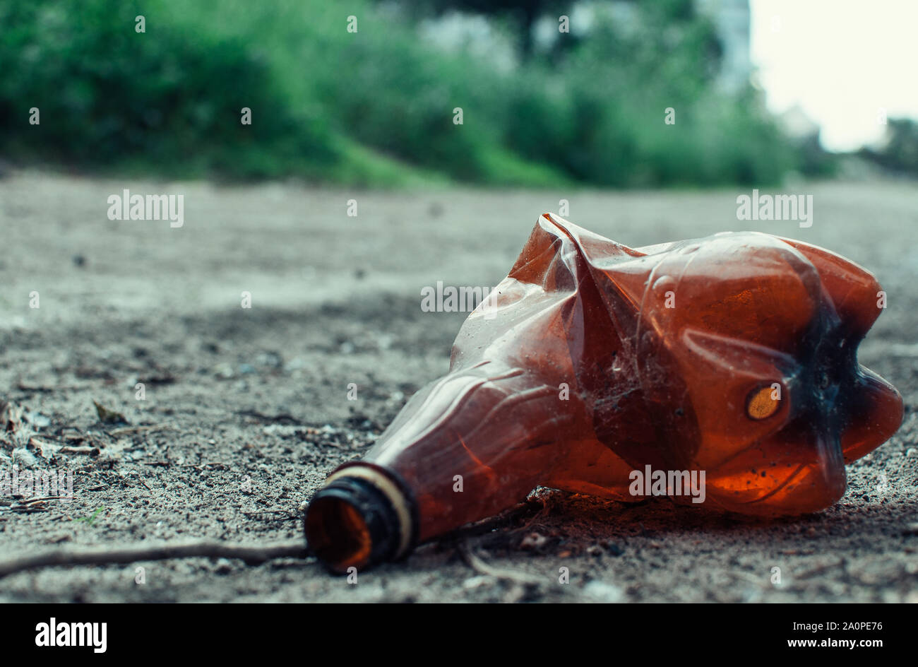 Botella de plástico en el bosque cerca del estanque. La contaminación ambiental. Tema ambiental y desastres. Go Green, cero residuos, salvar el planeta, la tierra da Foto de stock