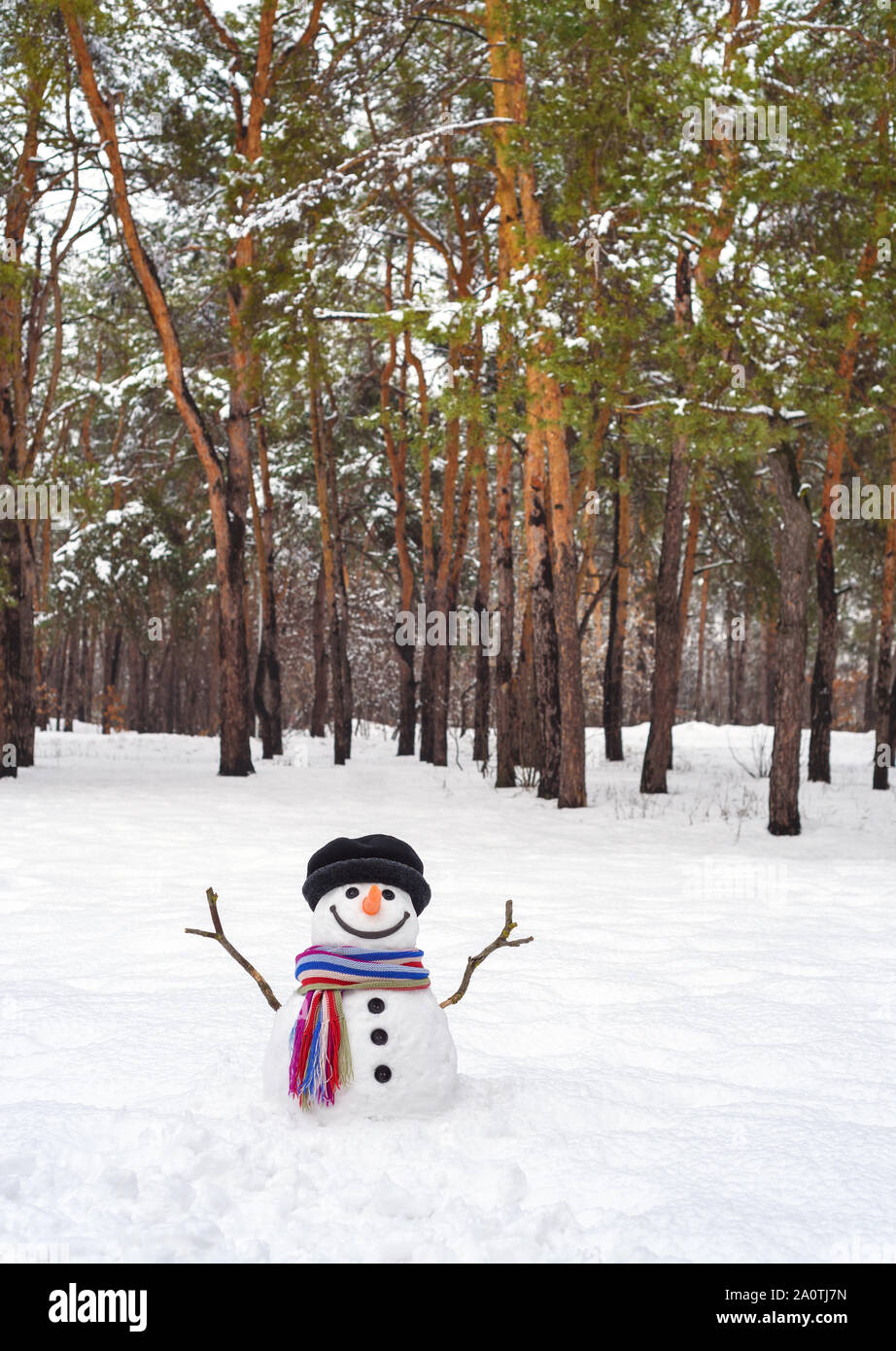 Gracioso muñeco de nieve en un bosque de pinos. Diversión de invierno con nieve Foto de stock