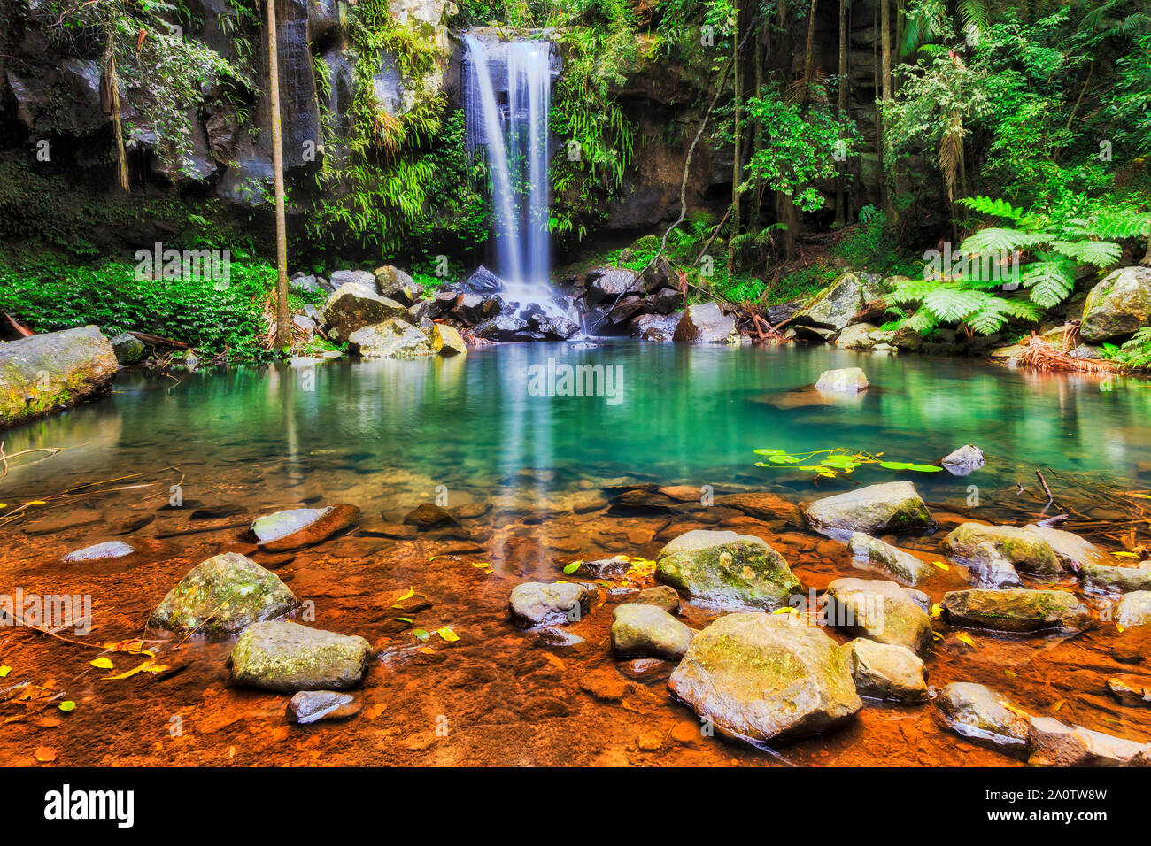 Paisaje de monte tamborine fotografías e imágenes de alta resolución