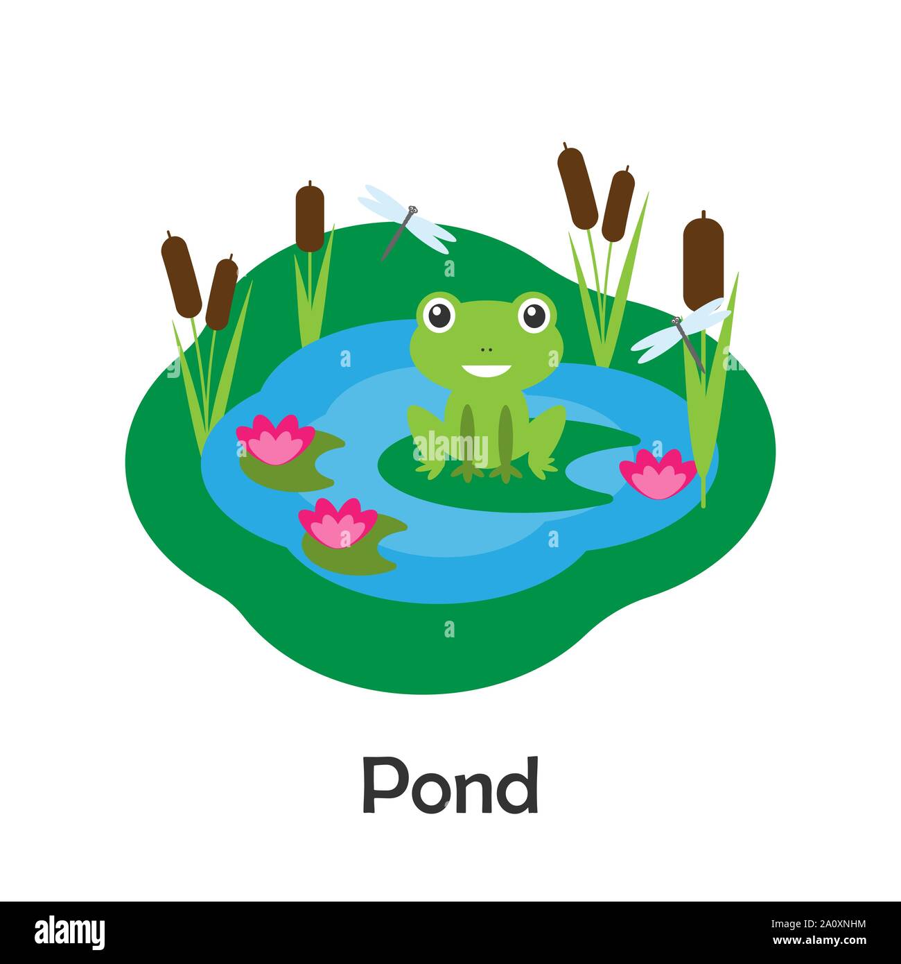 Rana en el estanque con estilo de dibujos animados, estanque tarjeta para  kid, actividad para niños preescolares, vector Imagen Vector de stock -  Alamy