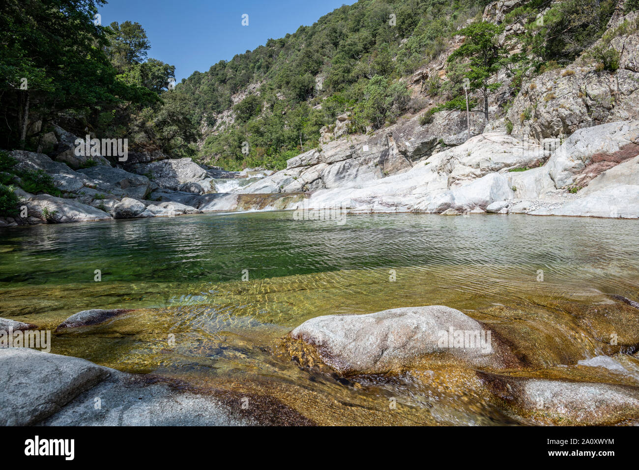 Río con piscinas naturales y bosques de Travu valle. Chisà, Córcega, Francia Foto de stock