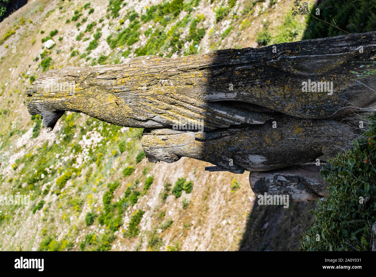 León y águila fotografías e imágenes de alta resolución - Alamy