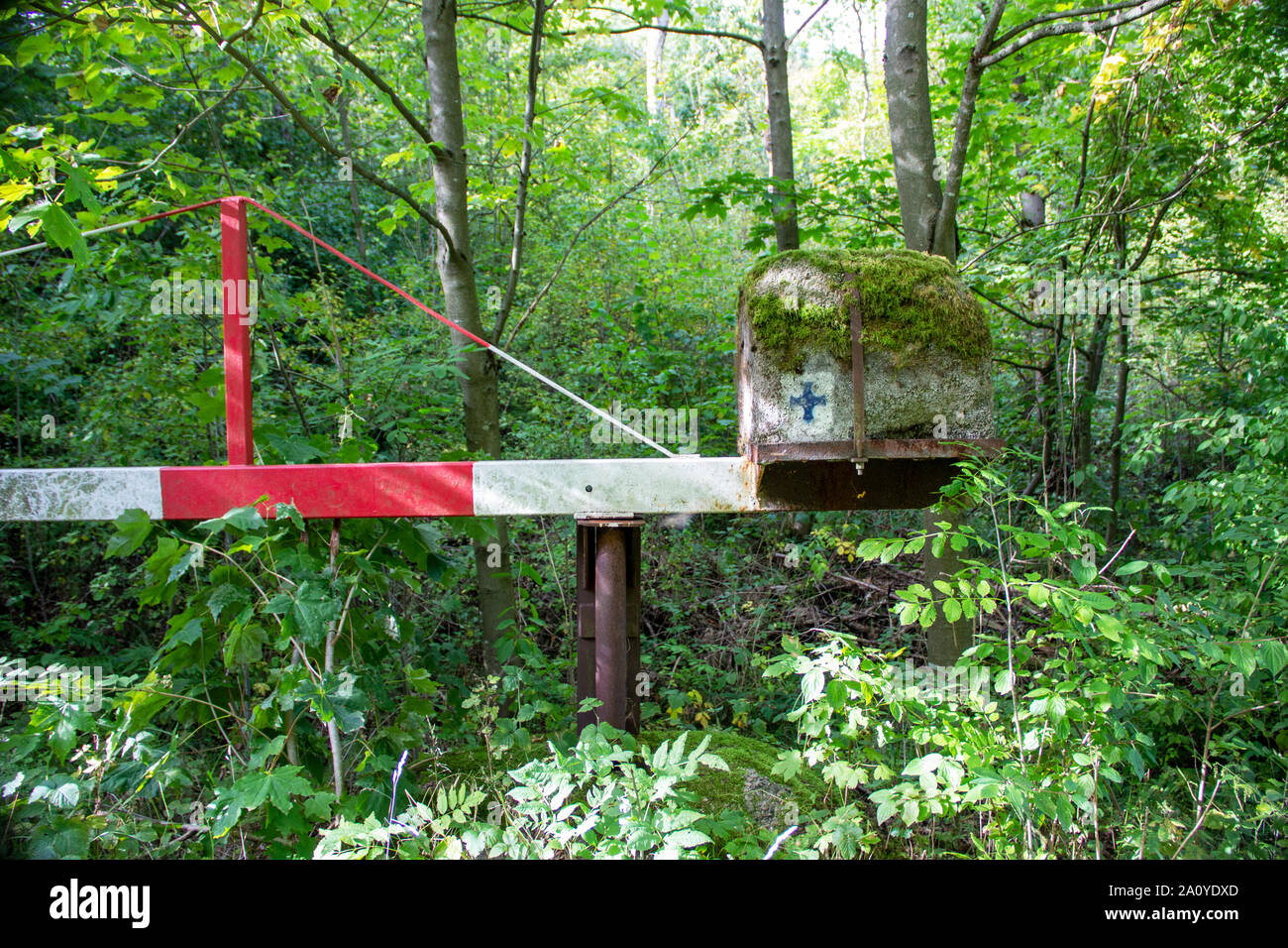 Volver a la naturaleza, el camino cubierto de barrera en el bosque Foto de stock