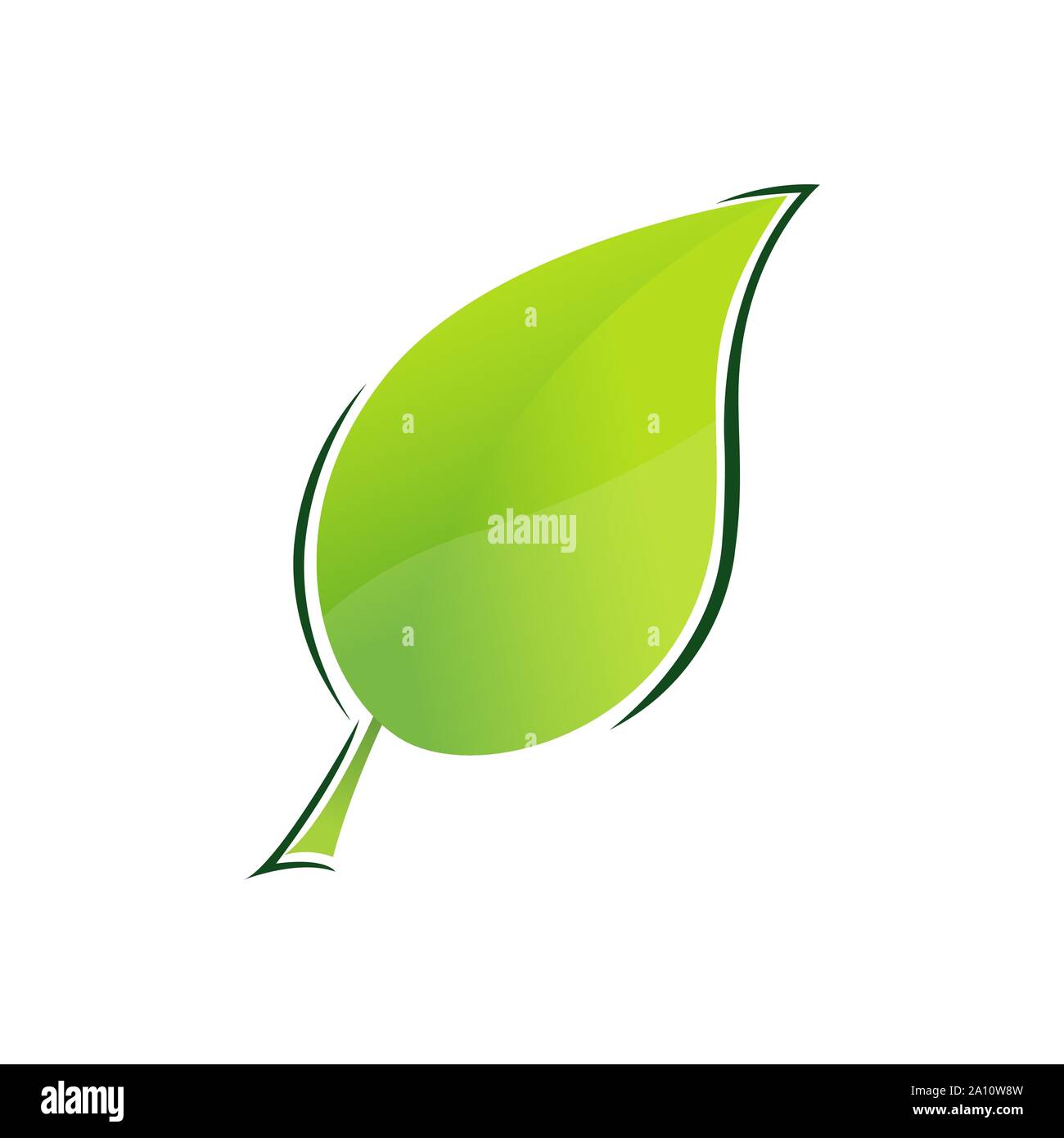La naturaleza simple y moderno logotipo de hoja verde elementos vectoriales Ilustración del Vector