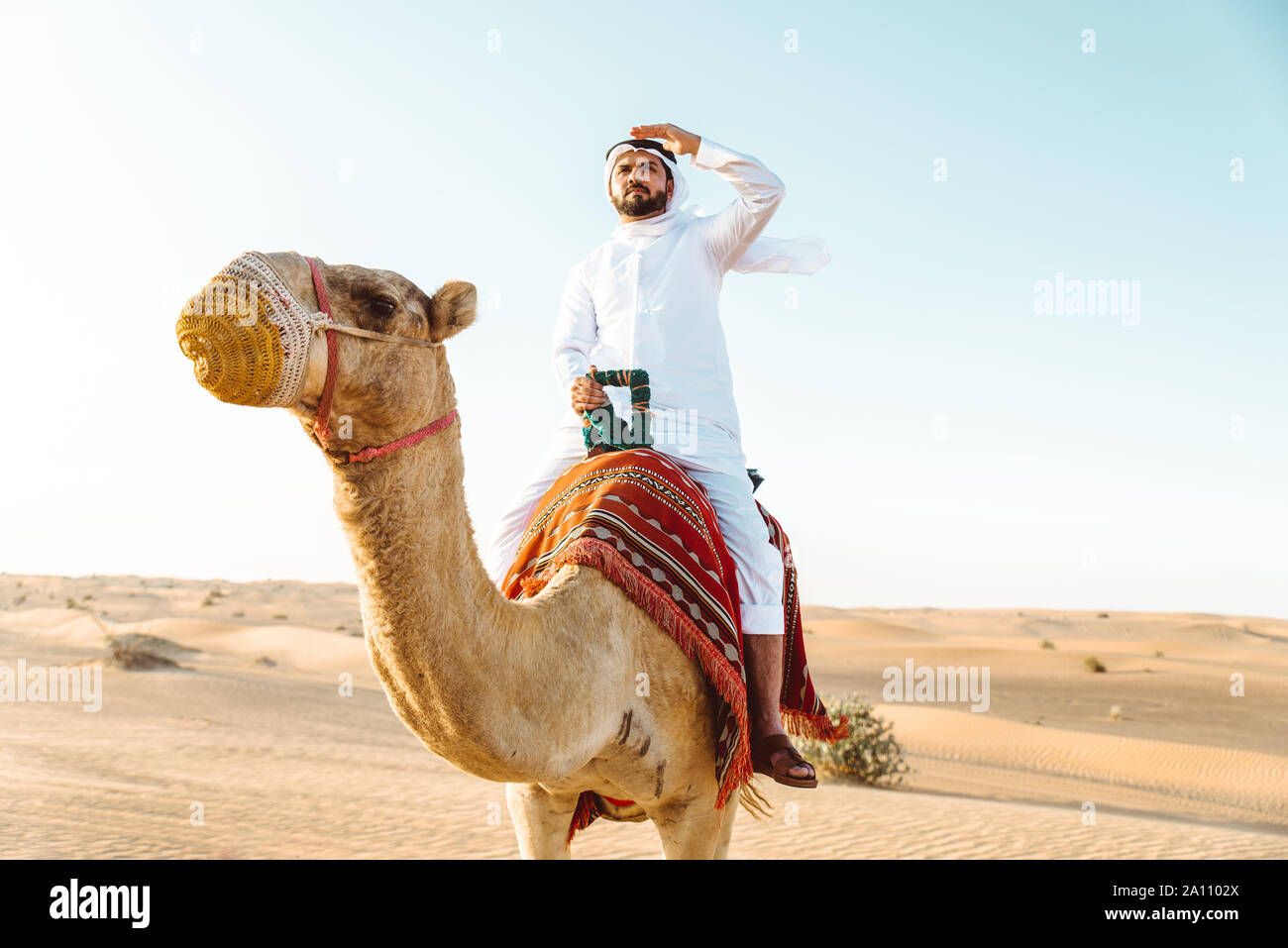 Hombre vestido con ropas tradicionales, teniendo un camello sobre la arena  del desierto, en Dubai Fotografía de stock - Alamy