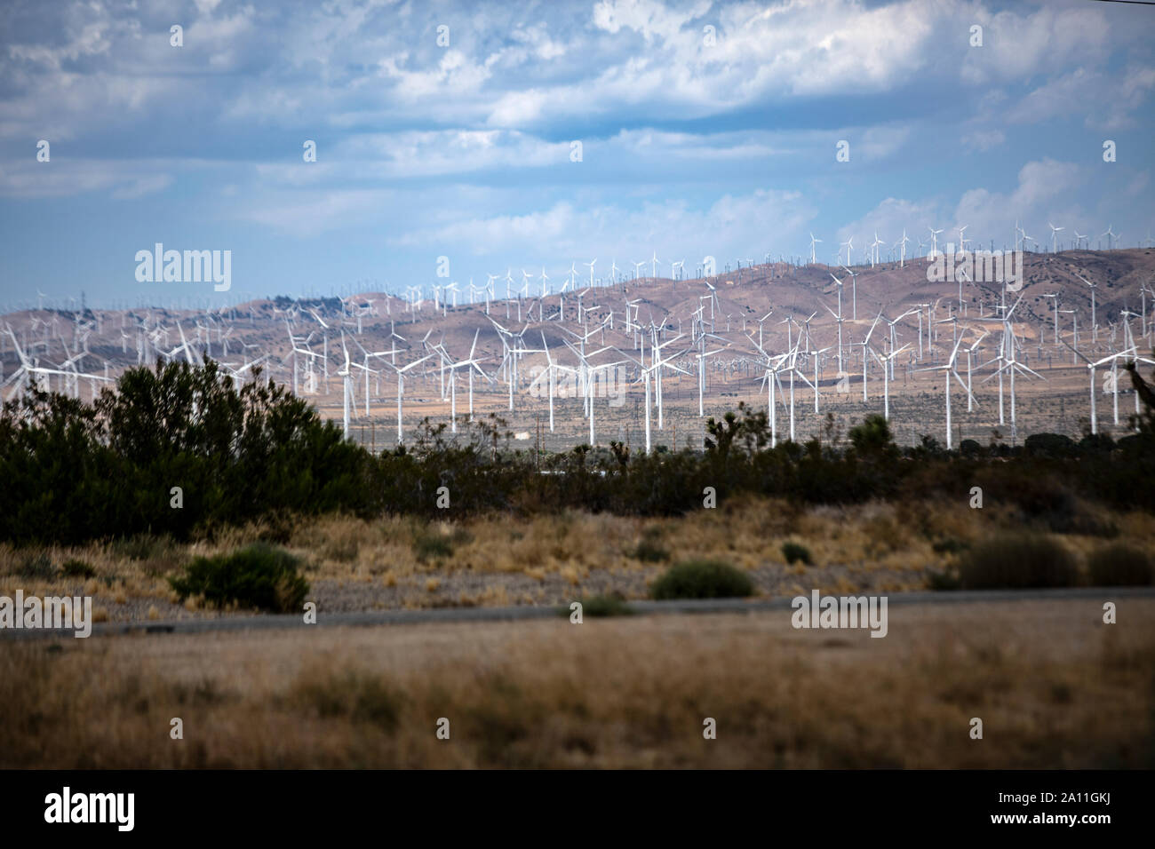 Parque eólico instalado mit Windrädern in der Nähe von Barstow im kalifornischen interior. Tal ist ein ganzes voll mit den Energiegewinnern. Foto de stock