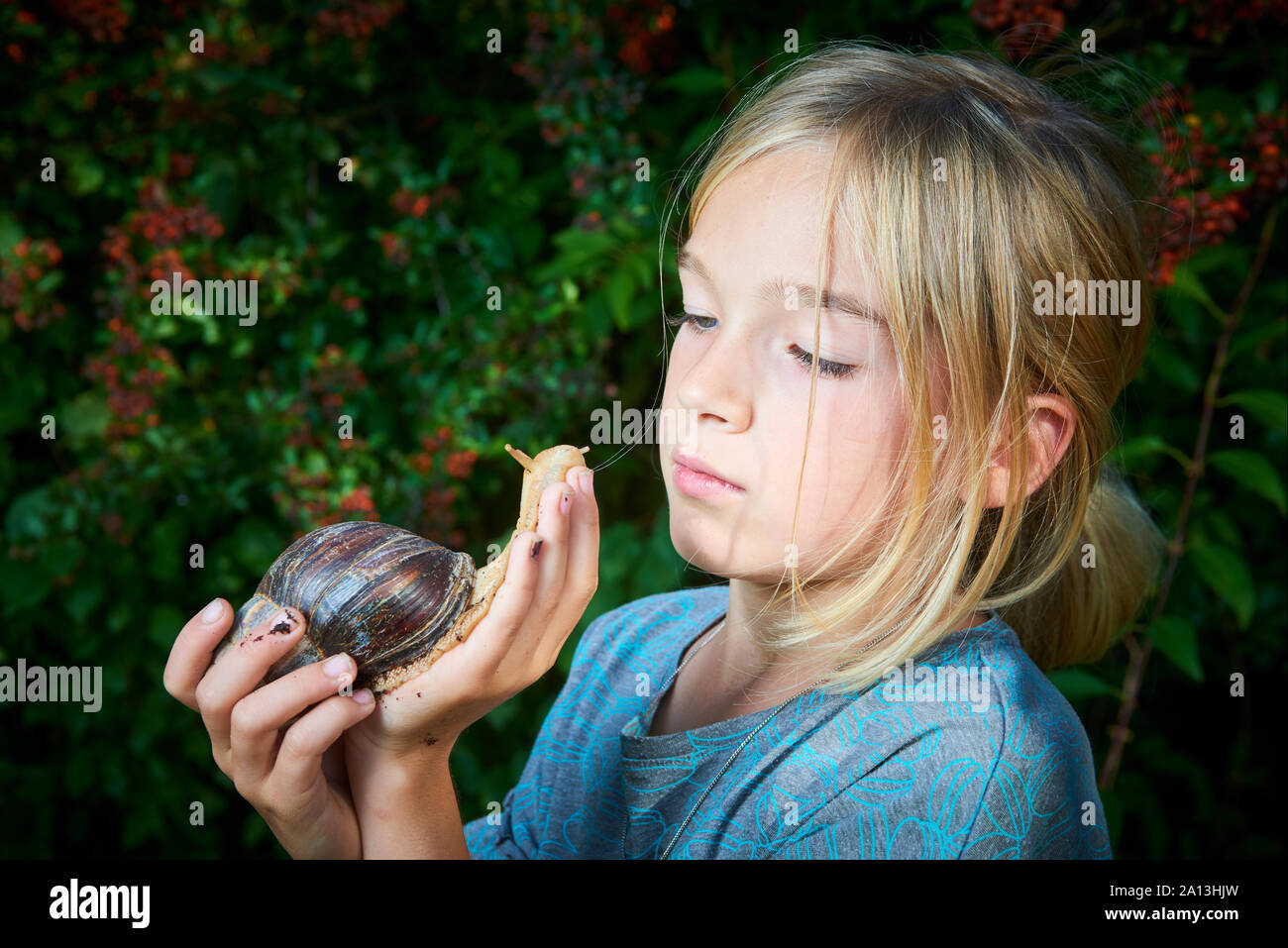 Retrato de una niña preadolescente adorable jugando con su mascota, el  caracol africano gigante (Achatina fulica). El concepto de no tener miedo  de animales inusuales Fotografía de stock - Alamy