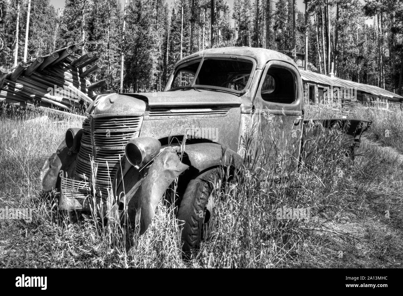 Abandonado International Harvester pickup, Burgdorf Hot Springs, Condado de Idaho, Idaho Foto de stock