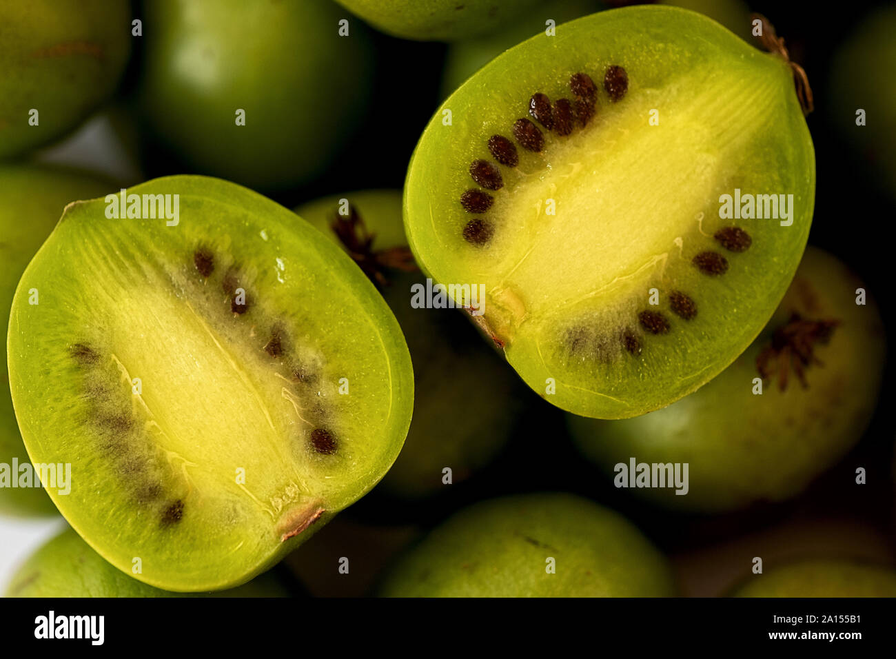 Las bayas de kiwi, una mitad en la parte superior Foto de stock