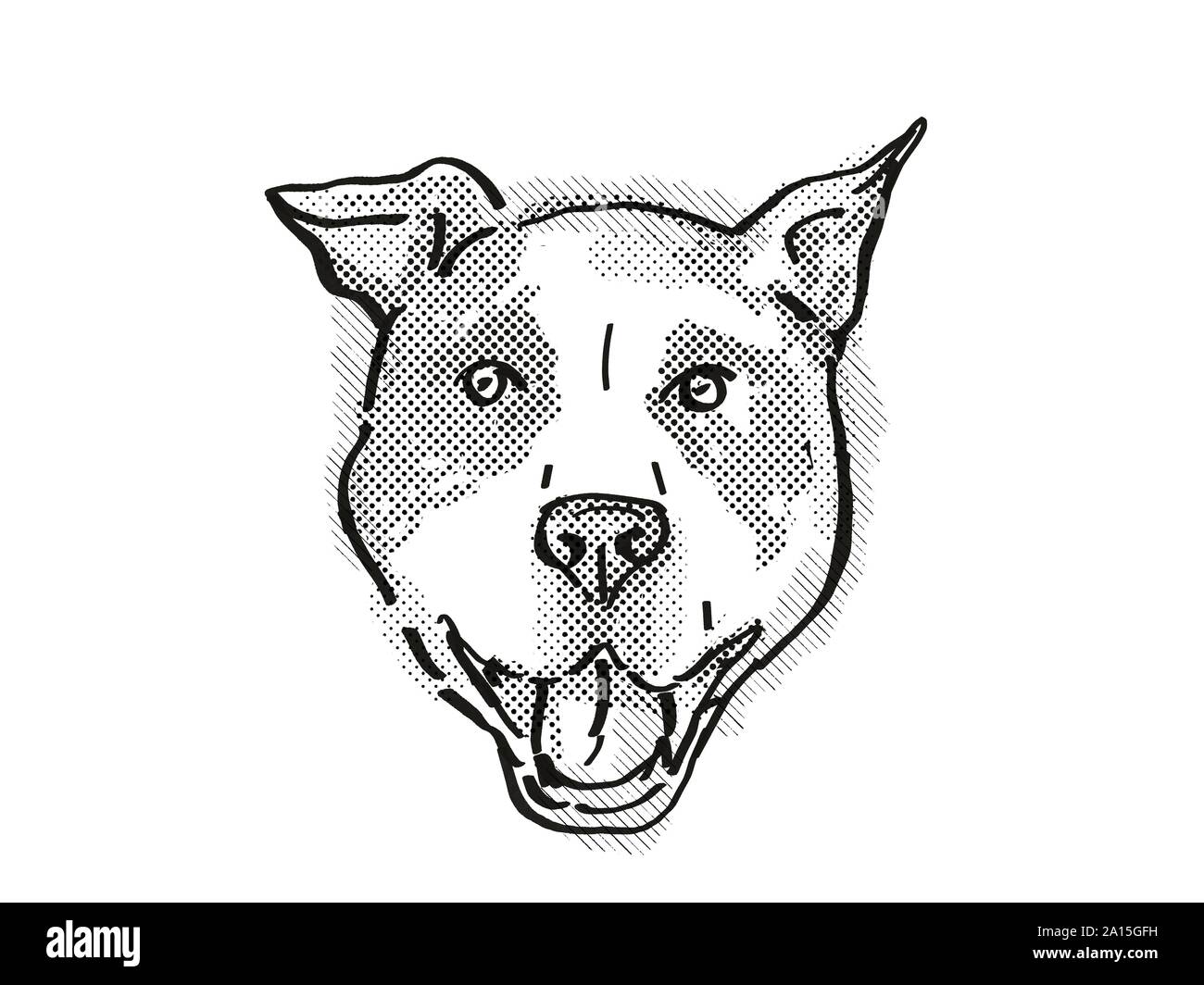 Perro pitbull Imágenes recortadas de stock - Alamy