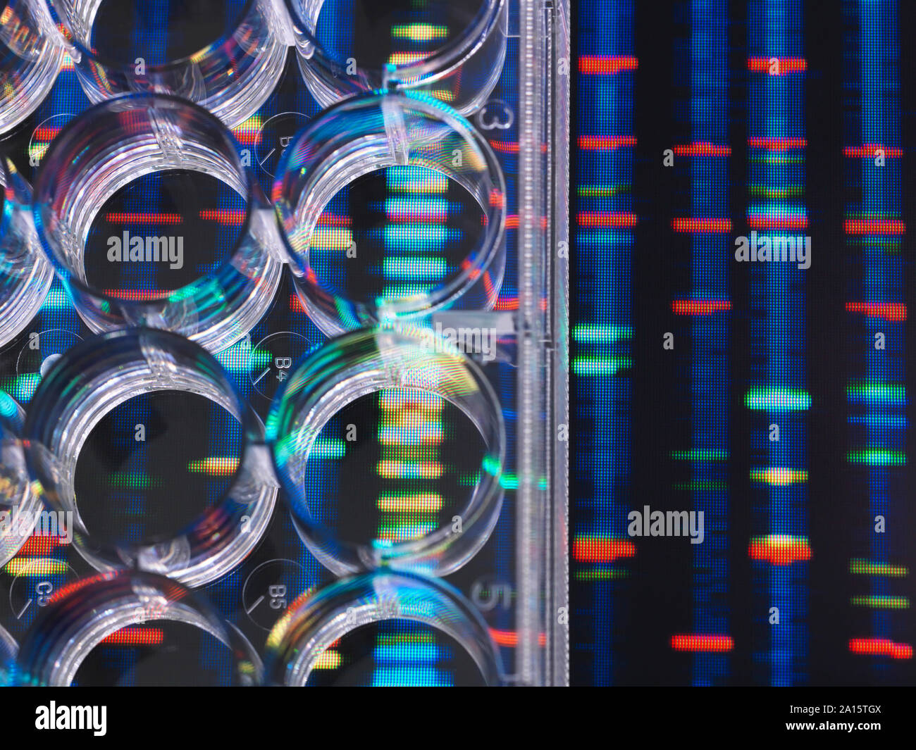 La investigación sobre el ADN, las muestras de ADN en una placa de pocillos múltiples preparadas para el análisis con resultados de ADN en el fondo Foto de stock