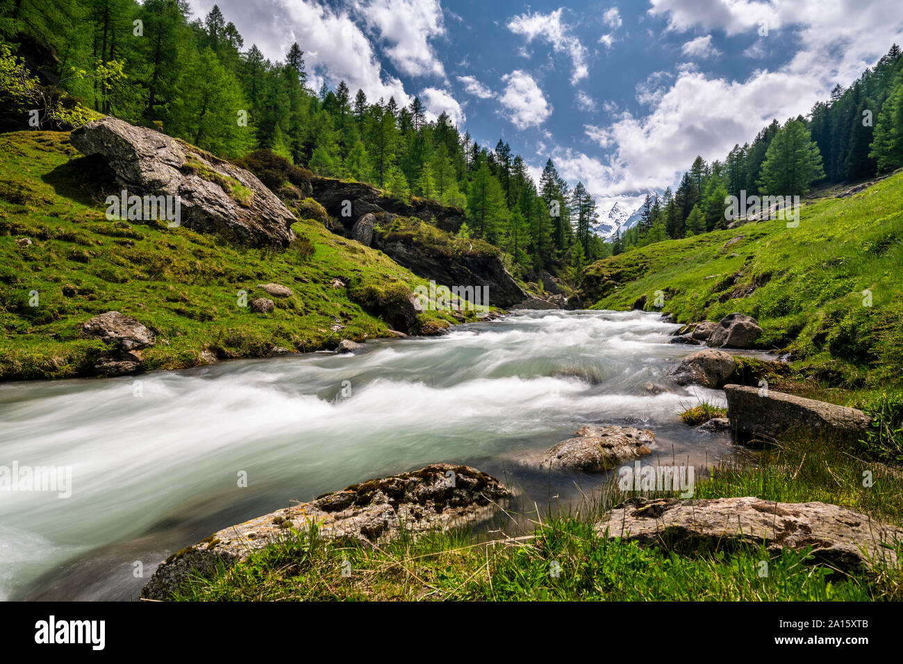 Brook en Valle Passeier, Alto Adige, Italia Foto de stock