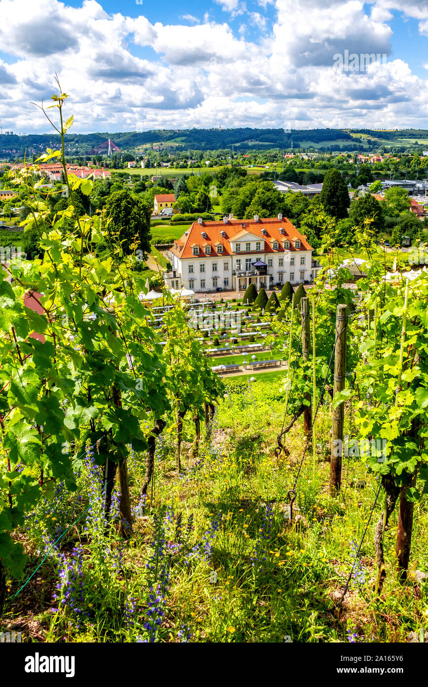 Alemania, Radebeul, Vista de viña y Castillo Waccurbarth Foto de stock