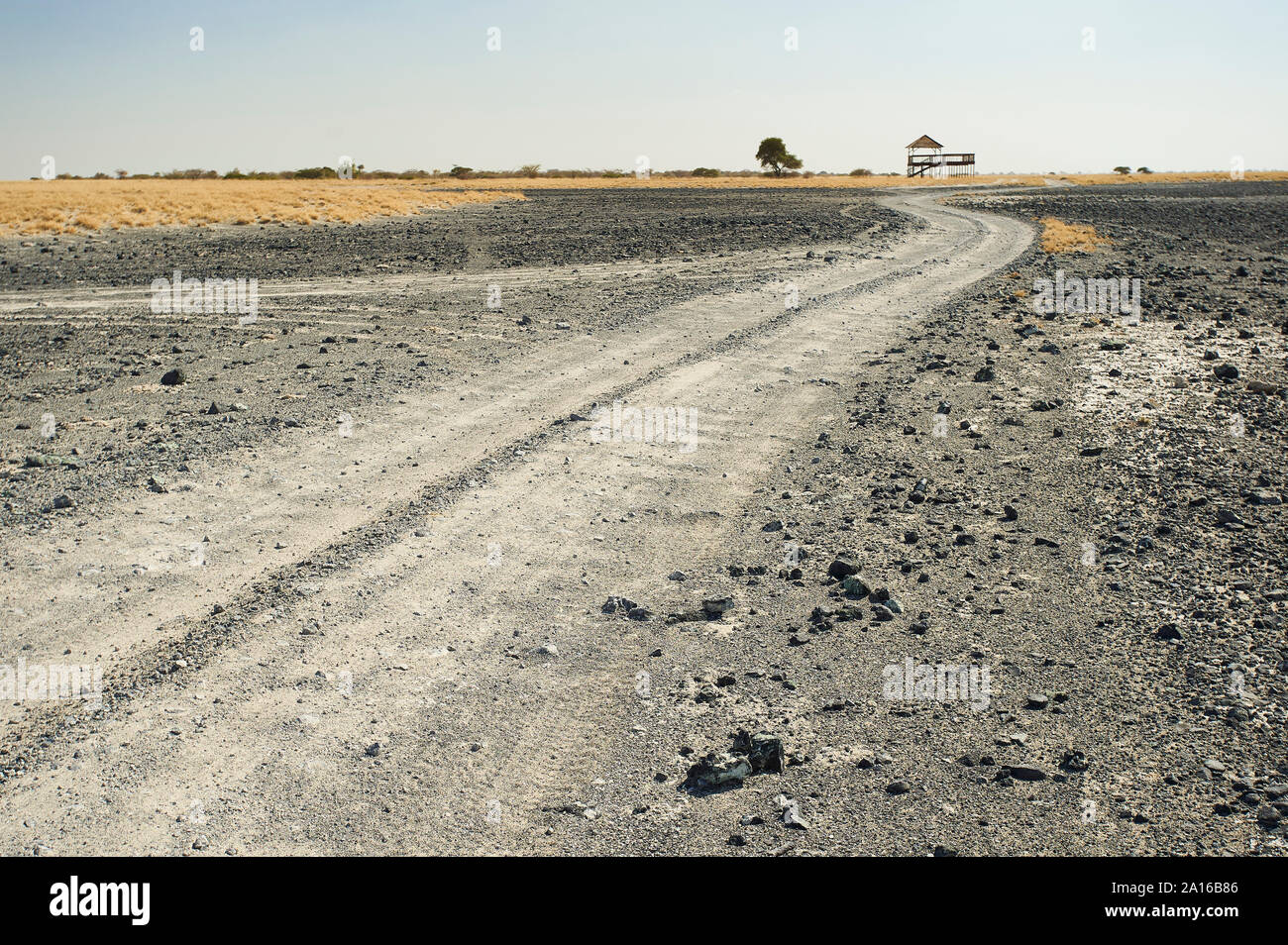 Camino de tierra, Makgadikgadi Pans, Botswana Foto de stock
