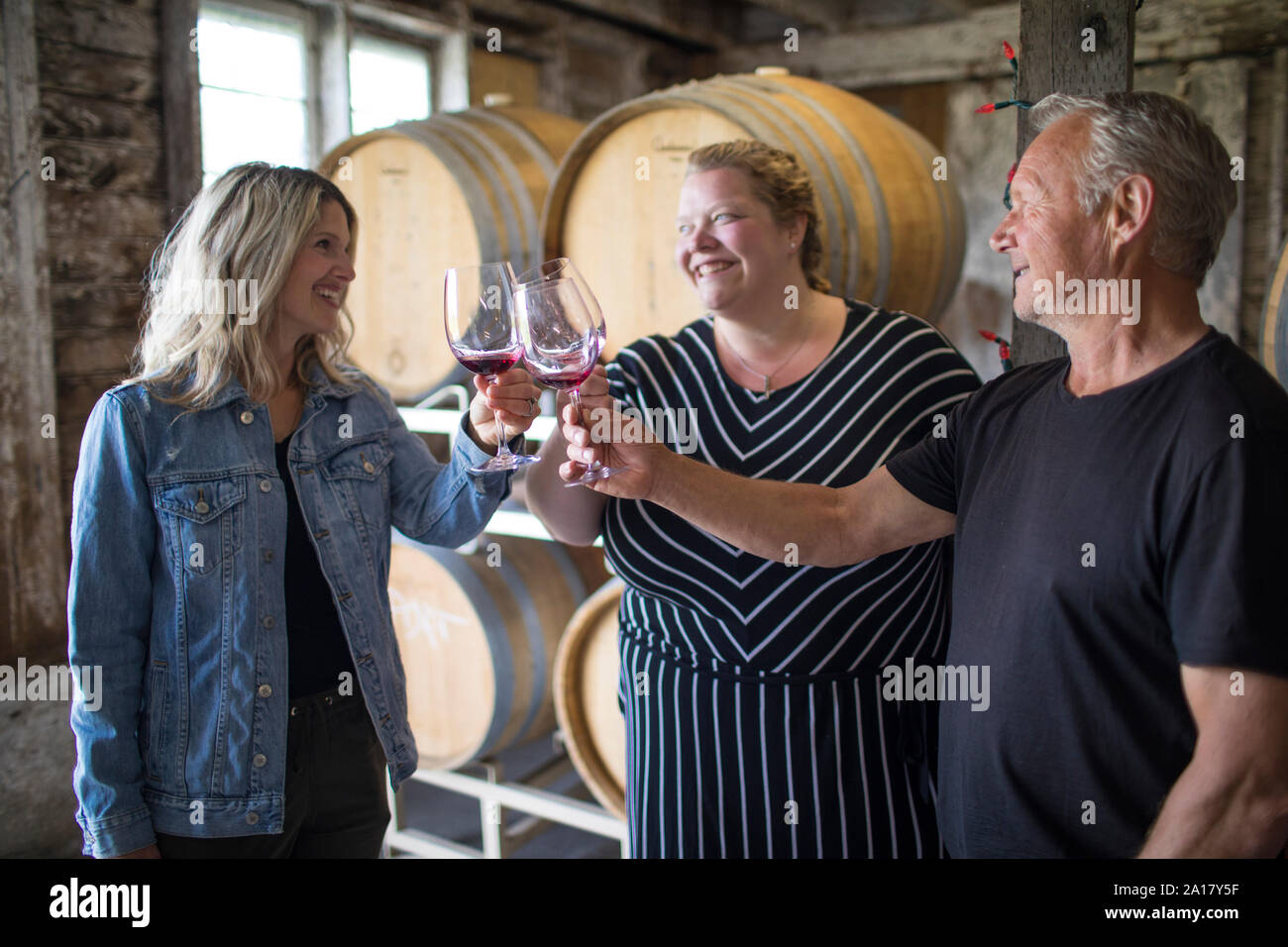 Grupo de tres hurras sus gafas durante la gira de degustación de vinos. Foto de stock