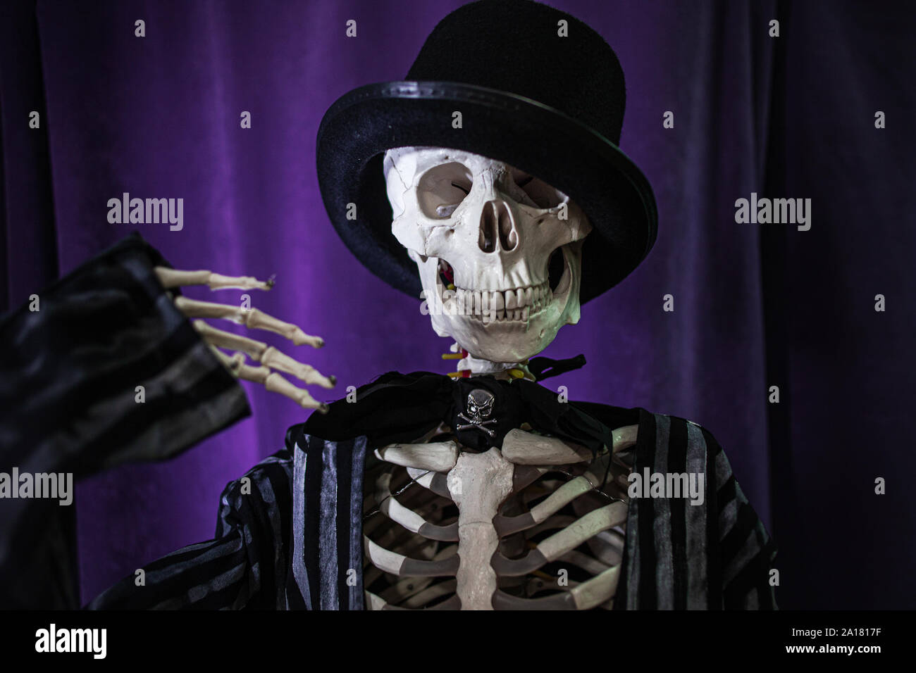 Gracioso Esqueleto Humano En Una Chaqueta Y Bombin Halloween